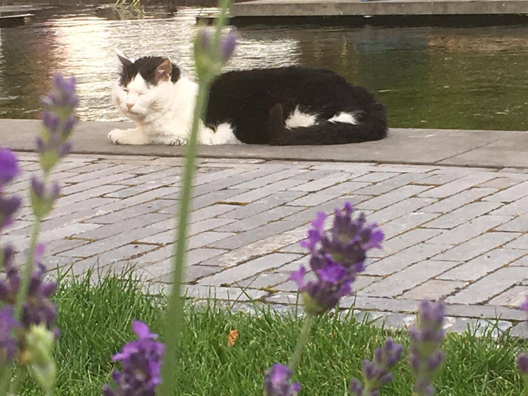 Gardenhouse With Private Jacuzzi & Private Sauna Teteringen